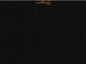 www.rastar.pl